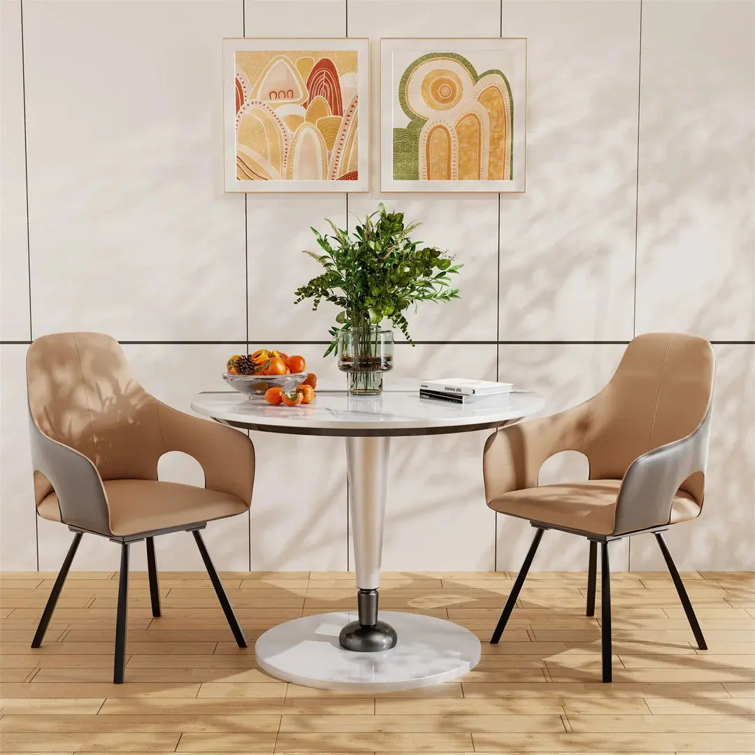 Modern Swivel Dining Chairs Set of 2 Accent Chairs with Armrest for Kitchens, Reception Room Side Chairs