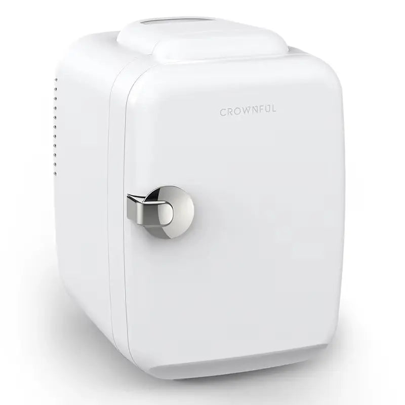 4L Mini Fridge 110V 220V Beauty Makeup Skincare Refrigerator AC/DC Heated Cooling Beauty Refrigerator Car Mini Fridge