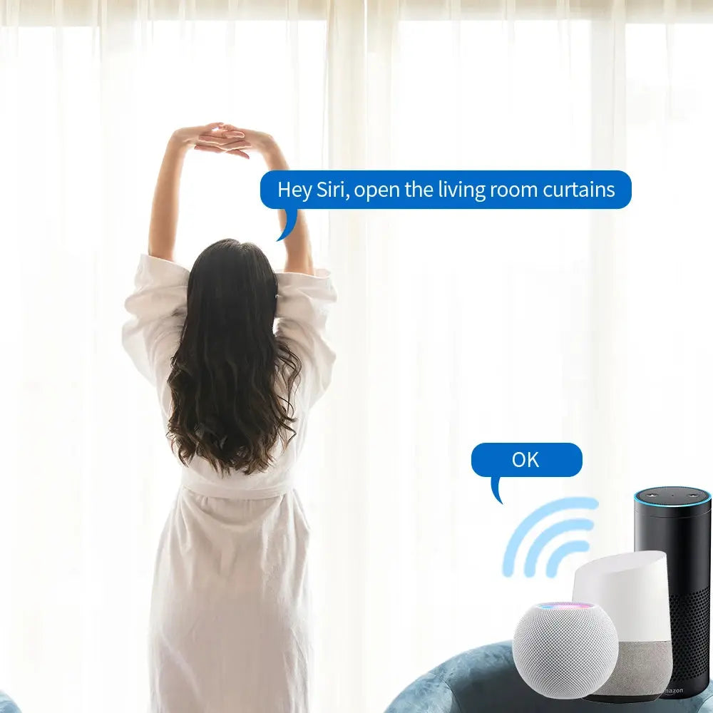 Wifi Homekit Smart Curtain Motor with Custom Track Alexa Google Home Yandex Alice Voice Control Electric Stage Curtain