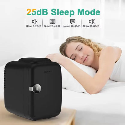4L Mini Fridge 110V 220V Beauty Makeup Skincare Refrigerator AC/DC Heated Cooling Beauty Refrigerator Car Mini Fridge