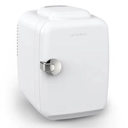 4L Mini Fridge 110V 220V Beauty Makeup Skincare Refrigerator AC/DC Heated Cooling Beauty Refrigerator Car Mini Fridge