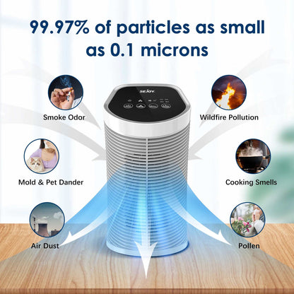Replacement H13 True Air Purifier HEPA filter removing smoke, pollen, dust, and odors for AP-2202 model